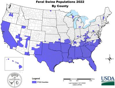 African swine fever at the wildlife-livestock interface: challenges for management and outbreak response within invasive wild pigs in the United States